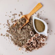 madre-sierra-products-moringa-tres-variedades moringa