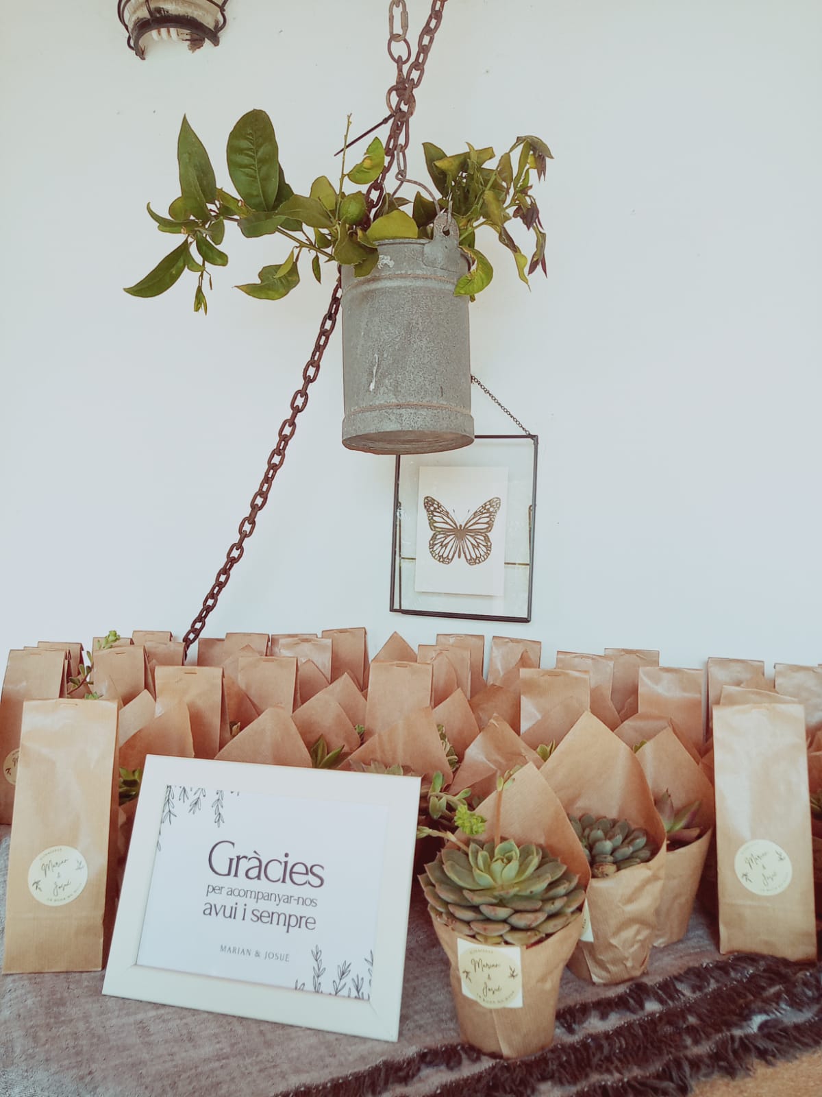 Pedidos personalizados y Servicios Madre Sierra Products