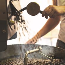Café Biológico Madre Sierra Café Biológico Madre Sierra